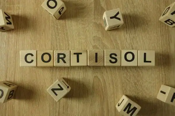 The Hidden Connection: How Stress Shapes Your Fitness and Body Composition 2 Image saying "Cortisol" and how stress Ascot impacts your wellbeing and bodies shape